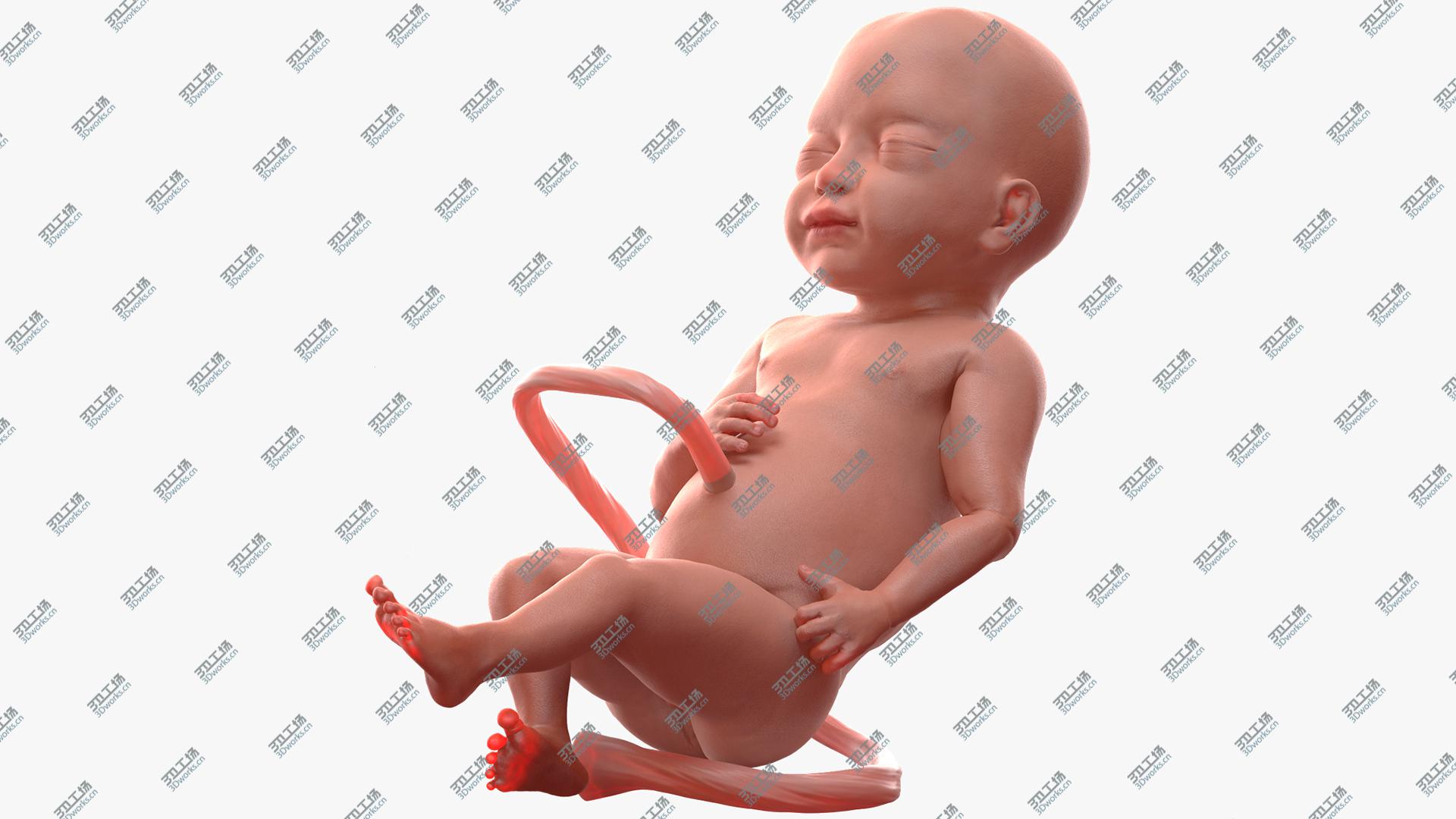 images/goods_img/20210313/Baby Boy at 28 Weeks Rigged model/1.jpg